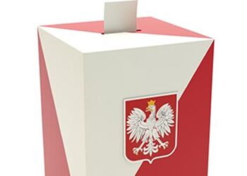 Wybory do Młodzieżowej Rady Powiatu Żarskiego